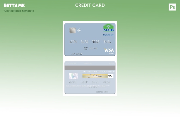 модерен стил Шаблон за виза за дебитна картичка на Обединетите Арапски Емирати M